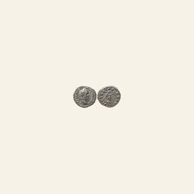 Reverse, of the denarius, for Septimius Severus. AD 193-211. AR Denarius (19mm, 3.23 g,). Rome AD 206., mint of Rome, 193-211