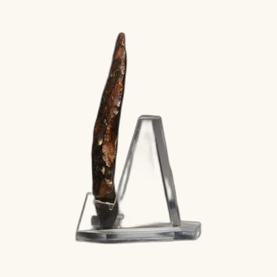 Couteau laminaire prédynastique en silex « chocolat » – Égypte Badari/Naqada – avec certificat d’authenticité - vue 5