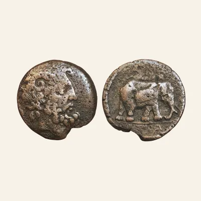 KINGS of NUMIDIA, Juba I , AE28. Circa 60-46 BC. Zeus Ammon/Elephant. RARE.