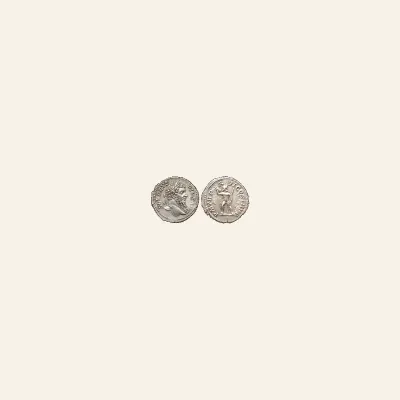 Reverse, of the denarius, for Septimius Severus. AD 193-211. AR Denarius (19mm, 3.50 g,). Rome AD 210-211., mint of Rome...