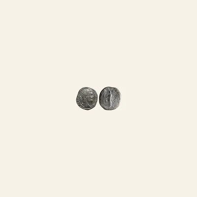 Reverse, of the denarius, for Septimius Severus. AD 193-211. AR Denarius (19mm, 3.50 g,). Rome AD 210-211., mint of Rome...