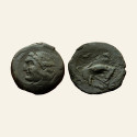 EXTREMELY RARE - ZEUGITANA CARTHAGE, Libyan Revolt. Circa 241-238 BC. Æ 2 Shekels