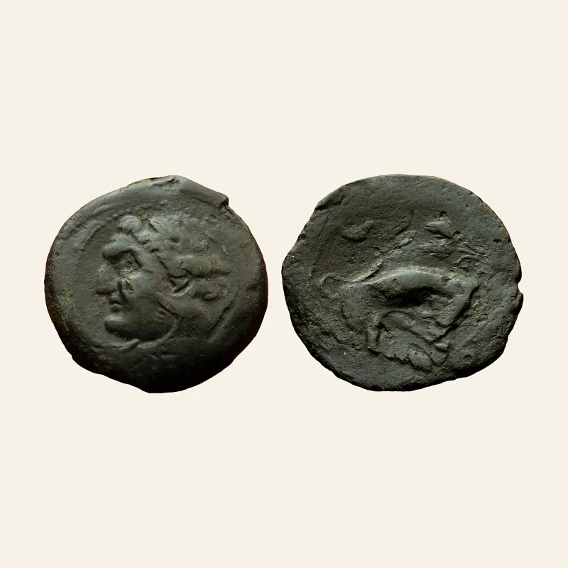 EXTREMELY RARE - ZEUGITANA CARTHAGE, Libyan Revolt. Circa 241-238 BC. Æ 2 Shekels