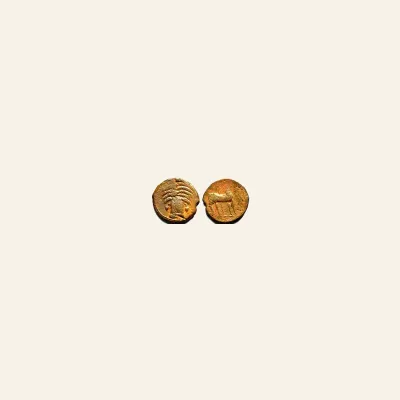 Reverse, for Siculo-Punic AE 17mm. ca 4th century BC.