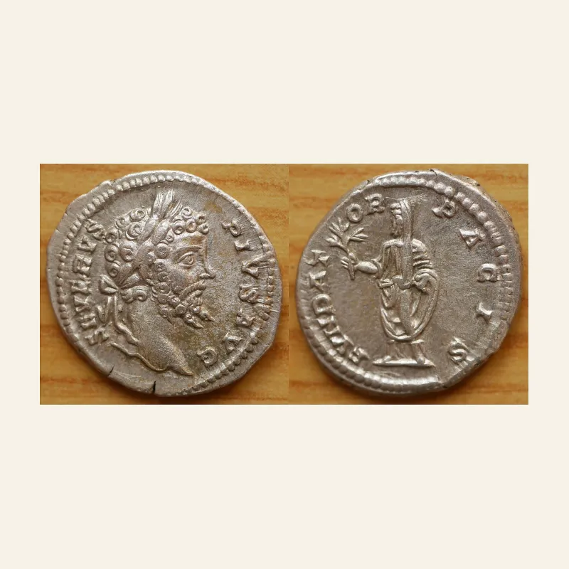 Obverse, of the denarius, for Septimius Severus. Denarius (Silver, 18 mm, 3.60 g,), Rome, 201-202., mint of Rome, 201-202