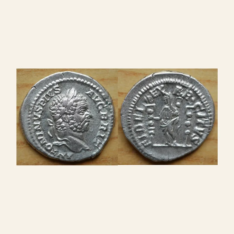 Caracalla AR Denarius. Rome, AD 210-213.