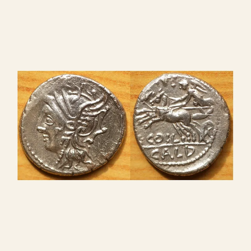 C. Coelius Caldus. Denarius 104, AR 18 mm, 3.90 g.