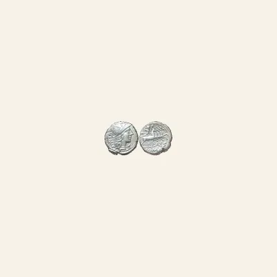 Reverse, of the as, for Republic Ae as : Head of Janus / Prow, mint of Rome