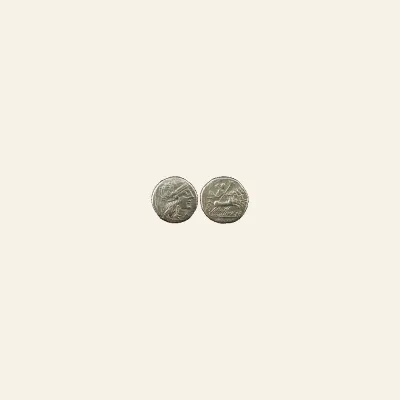 Reverse, of the as, for Republic Ae as : Head of Janus / Prow, mint of Rome