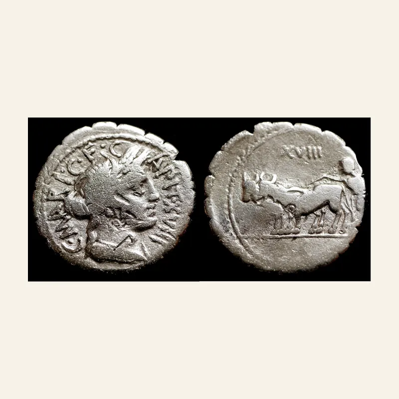 C. Marius C.f. Capito (ca. 81 BC) AR serratus denarius (19mm; 3.5g). Rome.