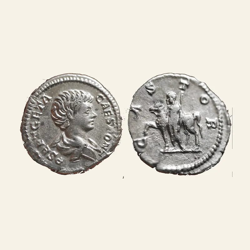 Geta as Caesar (AD 198-209). AR denarius (3.46 gm). Rome, AD 199-204.