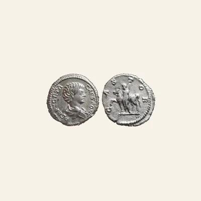 Geta as Caesar (AD 198-209). AR denarius (3.46 gm). Rome, AD 199-204.