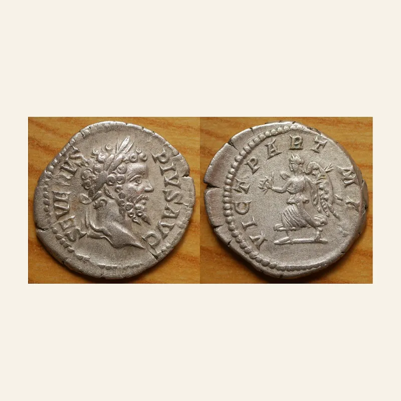 Obverse, of the denarius, for Septimius Severus (AD 193-211). AR denarius (19mm, 3.41 gm). Rome, AD 202-210., mint of Rome...