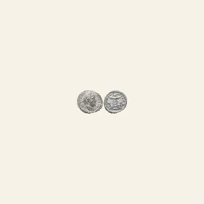 Reverse, of the denarius, for Septimius Severus (AD 193-211). AR denarius (19mm, 3.41 gm). Rome, AD 202-210., mint of Rome...