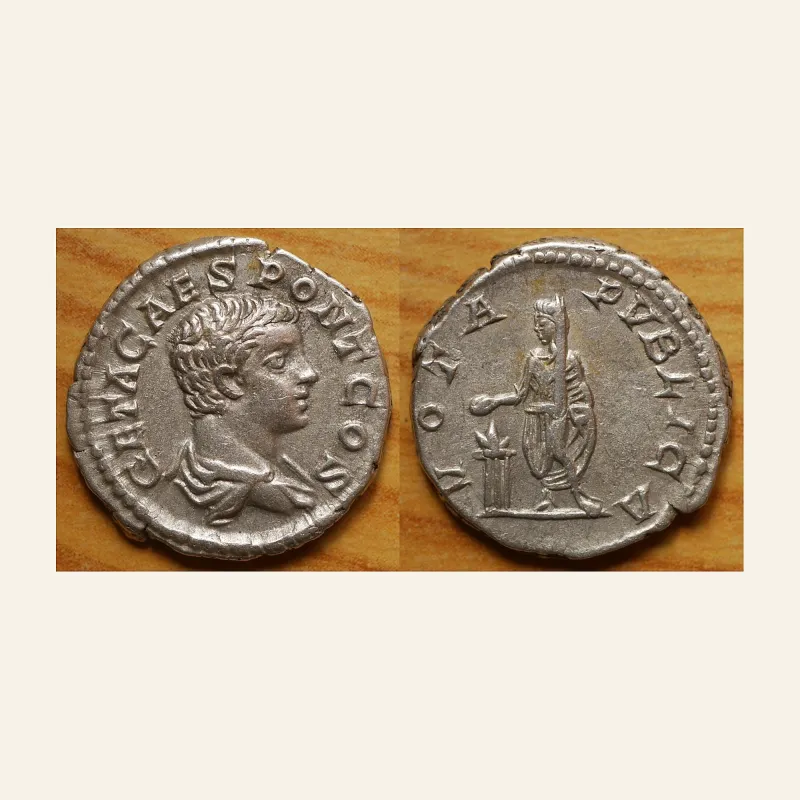Geta, as Caesar, 198-209. Denarius (Silver, 19 mm, 3.22 g,), Rome, 203-209.