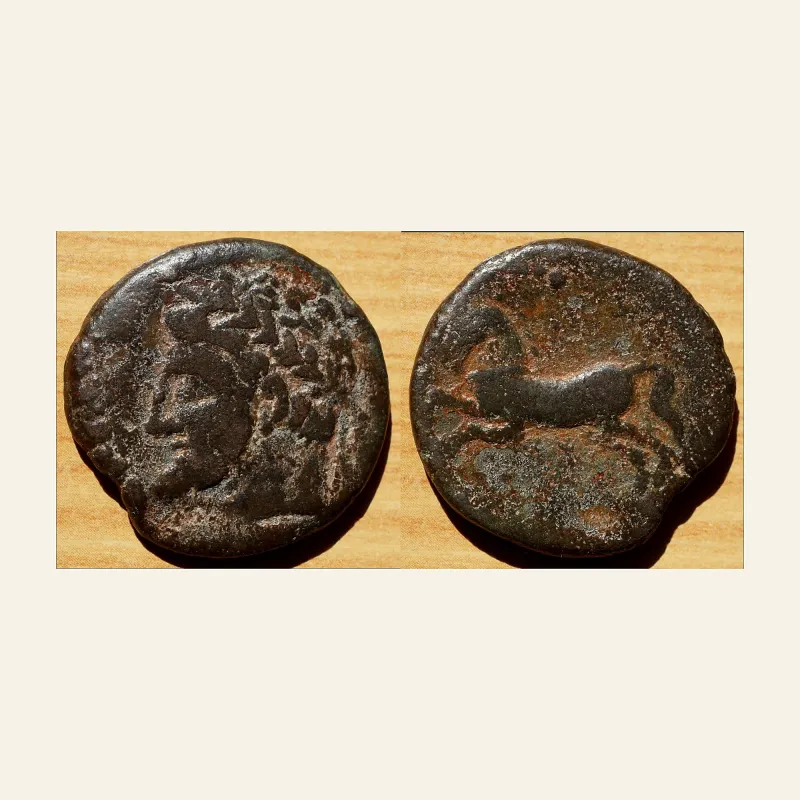KINGS OF NUMIDIA. AE Unit. Massinissa or Micipsa. 148-118 BC.