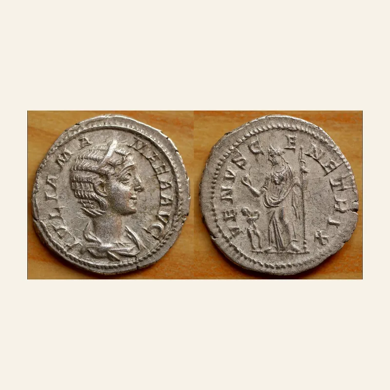 JULIA MAMAEA, Augusta 222-235 AD. AR Denarius (3.22 gm). Struck 223 AD.