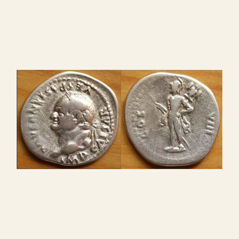 Obverse, of the denarius, for Vespasian AR Denarius. Rome, AD 77-78., mint of Rome, 77-78