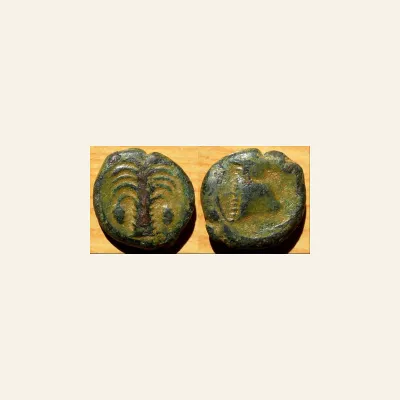 Reverse, for ZEUGITANA, Carthage. Circa 325-275 BC. Sicilian mint. Æ 18mm (6.15 gm)., mint of Carthage, 275 BC