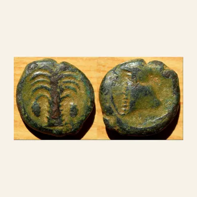 Reverse, for ZEUGITANA, Carthage. Circa 325-275 BC. Sicilian mint. Æ 18mm (6.15 gm)., mint of Carthage, 275 BC