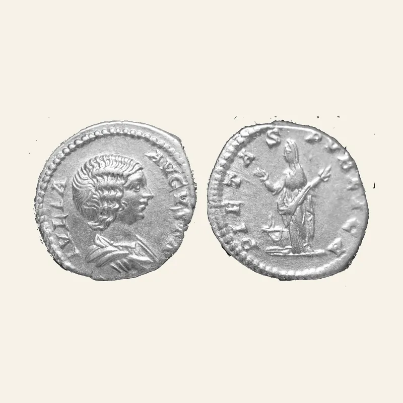 JULIA DOMNA (Augusta, 193-217). AR Denarius. Rome.