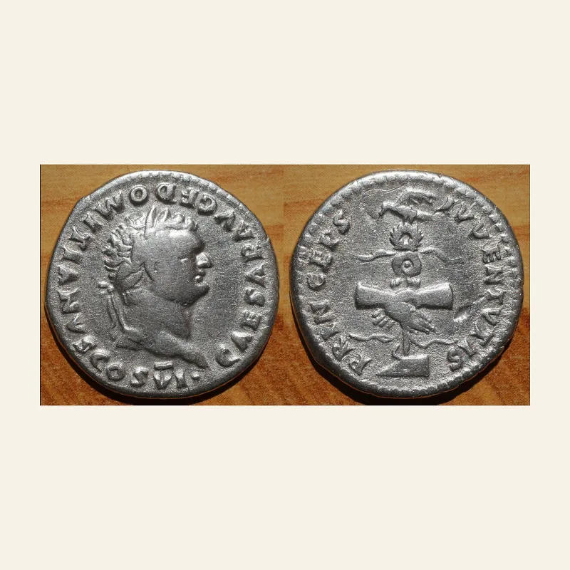 Domitian as Caesar (Vespasian 69-79) Denarius Rome AD 79 AR (g 3,27; mm 20)