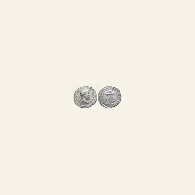 Reverse, of the denarius, for Septimius Severus, 193–211 Denarius 198-200, AR 3.51 g., 193–211