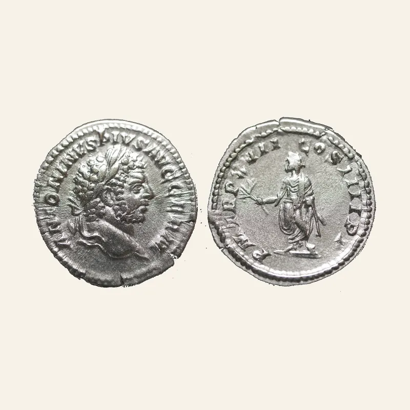 Caracalla (AD 198-217). AR denarius (19mm, 3.45 gm). Rome, AD 214.