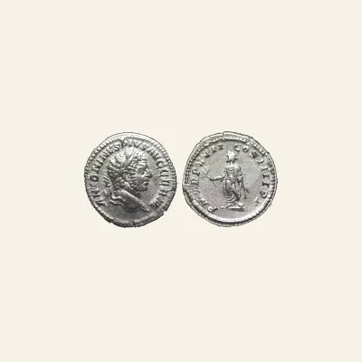 Caracalla (AD 198-217). AR denarius (19mm, 3.45 gm). Rome, AD 214.