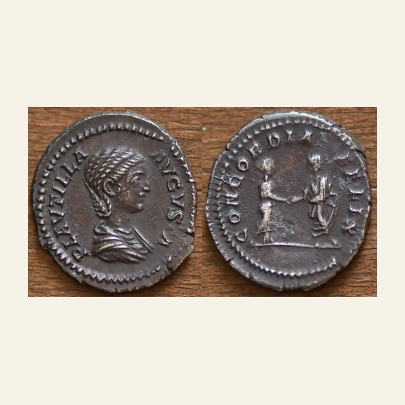 Obverse, of the denarius, for Plautilla (Caracalla, 198-217), AR Denarius, Rome, AD 202-205, AR, (g 3,98, mm 20)., mint of...