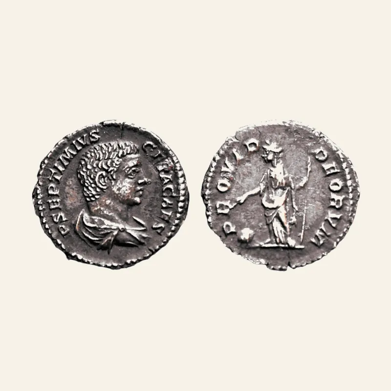 Geta, as Caesar, AR Denarius. Rome, AD 203-209.