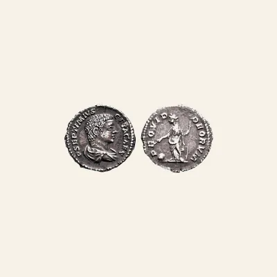 Geta, as Caesar, AR Denarius. Rome, AD 203-209.