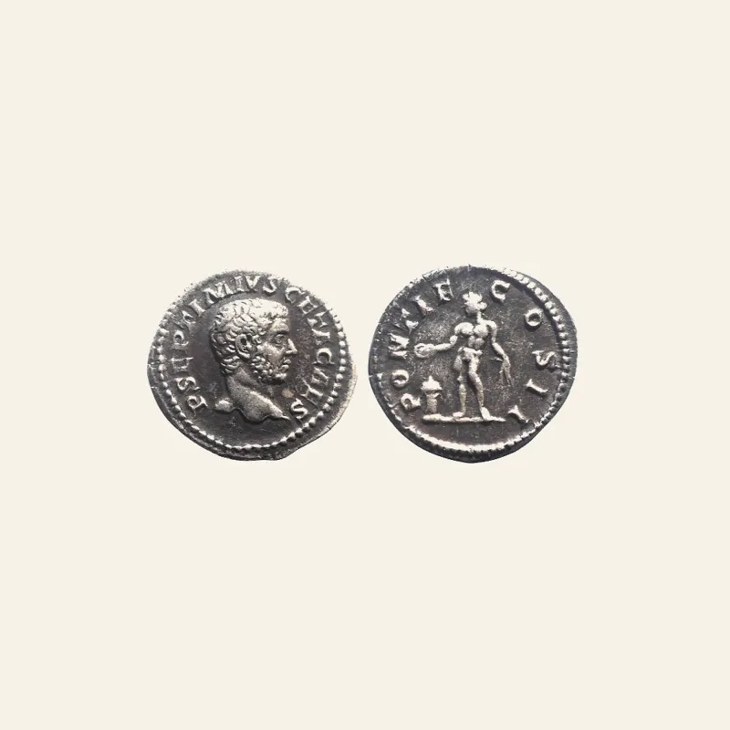 GETA (209-211). Denarius. Rome. (3.6 g., 20 mm)