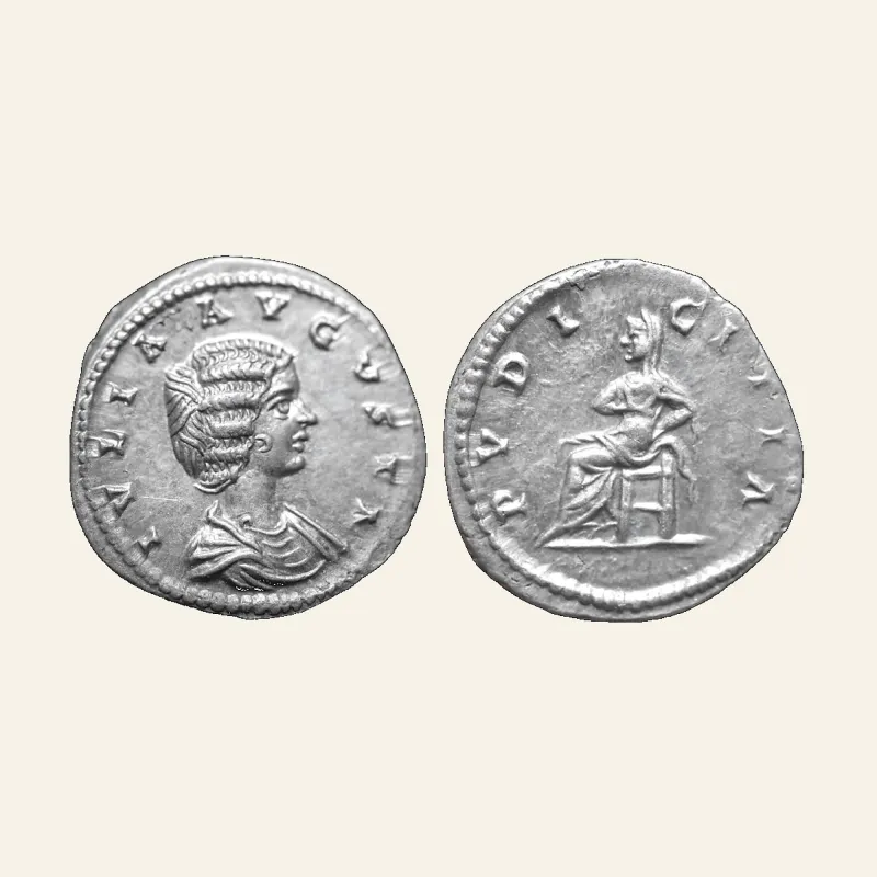 Julia Domna, Augusta, 193-217. Denarius (Silver, 19mm, 3.48 g) 196-202