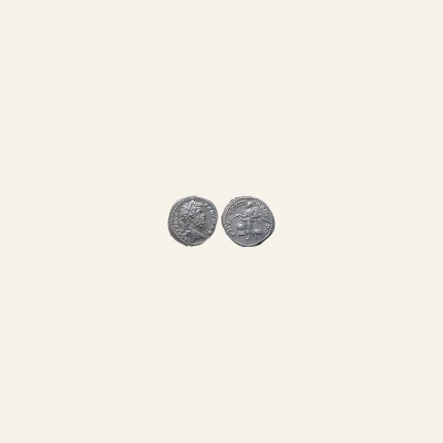 Reverse, of the denarius, for Septimius Severus AR Denarius. Rome, AD 202., mint of Rome, 385-387