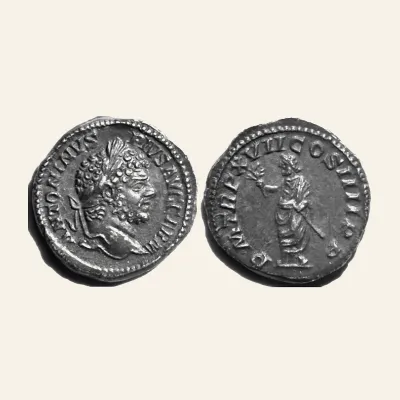 Caracalla (AD 198-217). AR denarius (19mm, 3.5 gm). Rome, AD 214.