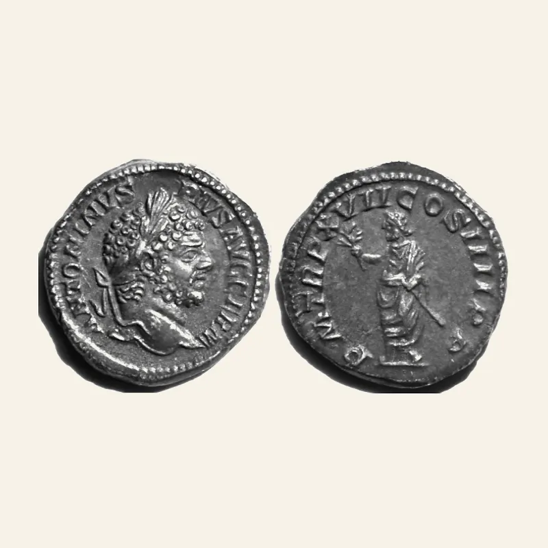 Caracalla (AD 198-217). AR denarius (19mm, 3.5 gm). Rome, AD 214.
