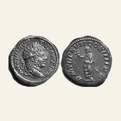 Caracalla (AD 198-217). AR denarius (19mm, 3.5 gm). Rome, AD 214.