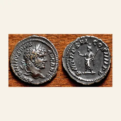 Caracalla. AD 198-217. AR Denarius (19mm, 3.06 g,). Rome mint. Struck AD 213.