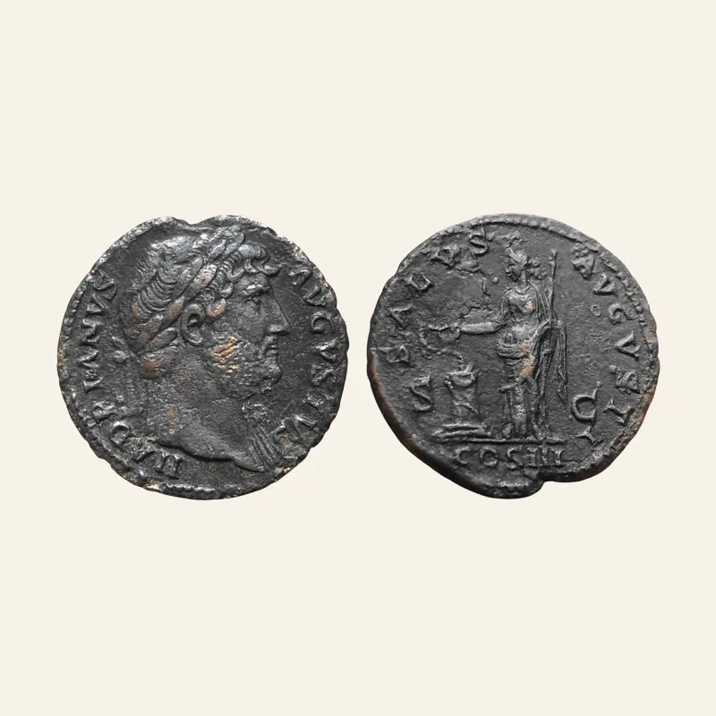 Hadrian Æ as. Rome, AD 124-128. SALVS AVGVSTI