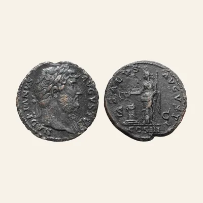 Hadrian Æ as. Rome, AD 124-128. SALVS AVGVSTI