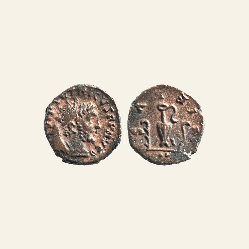 Obverse, of the antoninianus, for Unofficial imitation of Tetricus I antoninianus pontificate implements.