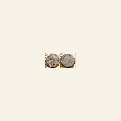 Reverse, of the denarius, for Septimius Severus AD 193-211. AR Denarius Rome, mint of Rome, 193-211