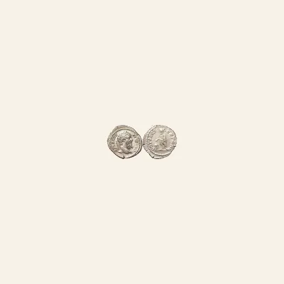 Reverse, of the denarius, for Septimius Severus AD 193-211. AR Denarius Rome, mint of Rome, 193-211