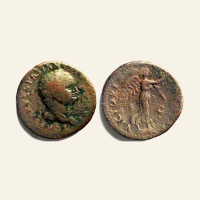 Obverse, of the as, for TITUS CAESAR, 69-79 AE as, 77-78. AE 10.23 g., 69-79