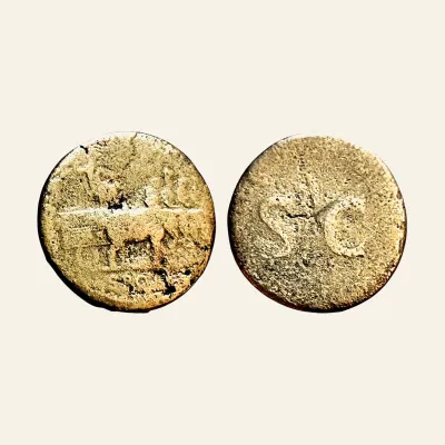 Avers, du sestertius, pour Titus (honouring Vespasian) - Elephant Cart AE Sestertius 80-81 AD. Rome mint., atelier de Rome...