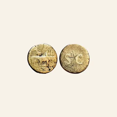 Reverse, of the sestertius, for Titus (honouring Vespasian) - Elephant Cart AE Sestertius 80-81 AD. Rome mint., mint of...