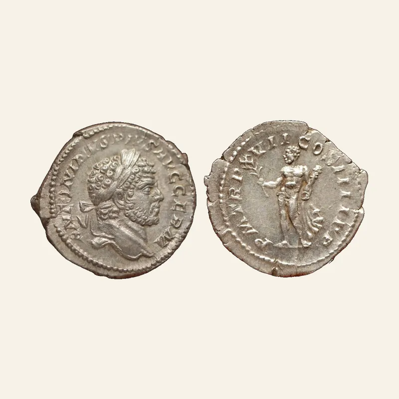 Caracalla. AD 198-217. AR Denarius (19 mm, 3.40 g). Rome mint. Struck AD 214.