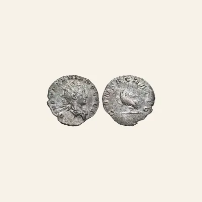 DIVUS VALERIAN II (Died 258). Antoninianus. Colonia Agrippinensis.