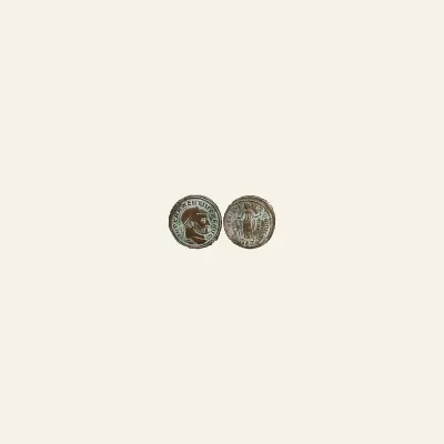 MAXENTIUS (309-312). follis. Ostia.